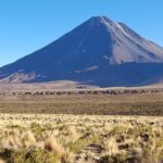 Journey Through the Salt Flats - Who Will Love This Tour?