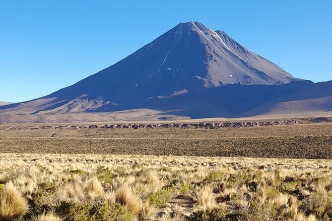 Journey Through the Salt Flats - Who Will Love This Tour?