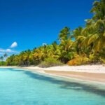 Juan Dolio: Saona Island Day Trip with Catamaran Ride - The Practical Side: What You Need to Know