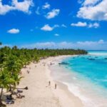 Juan Dolio: Saona Island Day Trip with Lunch & Open Bar - Practicalities and Considerations
