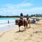 Jungle and Beach Horse Ridding round trip transportatin. - Who Should Book This Tour?
