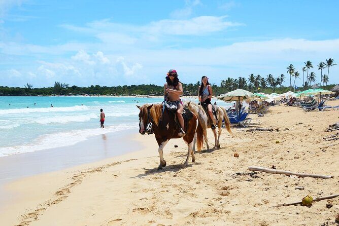 Jungle and Beach Horse Ridding round trip transportatin. - Who Should Book This Tour?