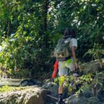 Jungle and Waterfall Adventure - Why We Think This Tour Offers Great Value