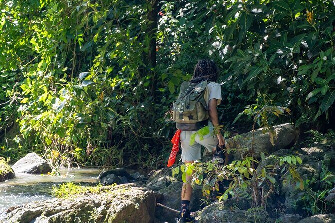 Jungle and Waterfall Adventure - Why We Think This Tour Offers Great Value