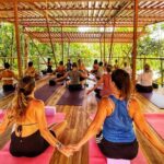 Jungle Bliss: Yoga, Waterfalls, and Blue Clay Experience w/Lunch - Final Thoughts: Is It Worth It?