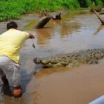 Jungle Crocodile Safari & Jaco Beach from San Jose - Why This Tour Offers Good Value