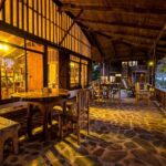 Jungle Expedition through The Childrens Eternal Rainforest - Why This Tour Excels