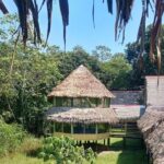 Jungle Explorer Tour 5 days 4 nights - FAQs