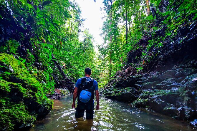 Jungle Hike with Canyoning and Rappelling in Drake Bay - Practical Tips for Travelers
