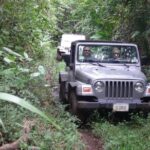 Jungle Jeep and Altun Ha Tour - Who Will Love This Tour?
