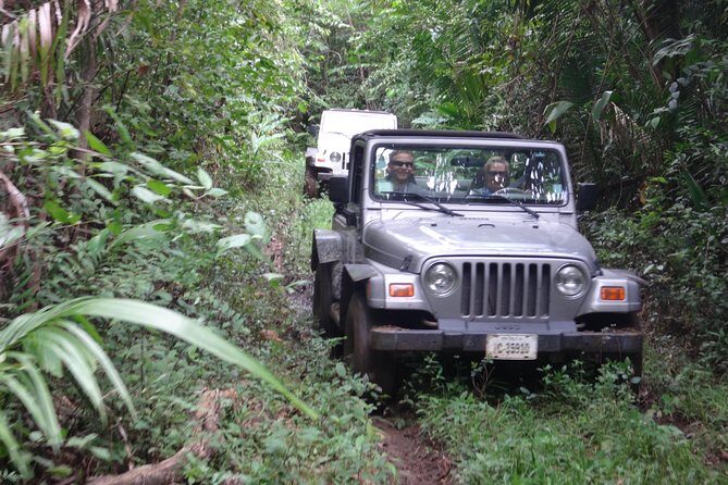 Jungle Jeep and Altun Ha Tour - Who Will Love This Tour?