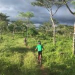 Jungle Mountain Bike Adventures - A Deep Dive into Jungle Mountain Bike Adventures