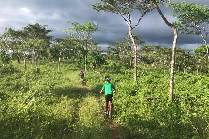 Jungle Mountain Bike Adventures - A Deep Dive into Jungle Mountain Bike Adventures