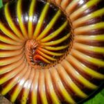 Jungle Night Tour Manuel Antonio - Who Will Love This Tour?