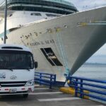 Jungle & River Buggy & Crocodile tour. Puntarenas shore excursion - What You Can Expect Throughout the Day