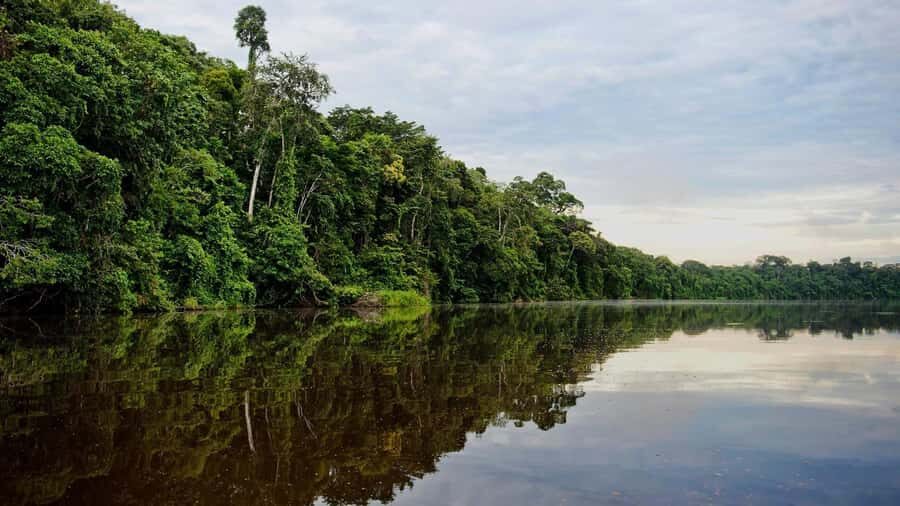 Jungle Tambopata 2D |Monkey Island + Search for alligators| - What’s Included & What to Consider