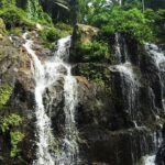 Jungle Zipline & Waterfall Rappelling - Bocawina Falls - Who Should Consider This Tour?