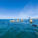 Kayak and Snorkeling Adventures in West End - Who Will Love This Tour?