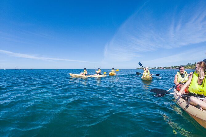 Kayak and Snorkeling Adventures in West End - Who Will Love This Tour?