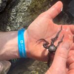 Kayak and Snorkelling trip to Capitan Island; part of Las Baulas National Park - Who Will Love This Tour?