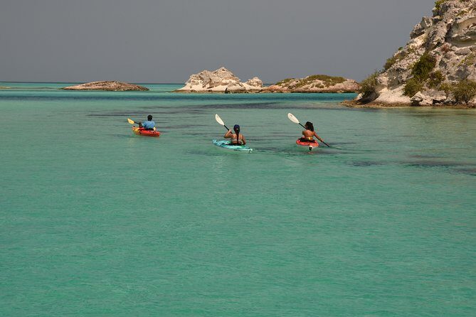 Kayak Eco Tour - Who Will Love This Tour?