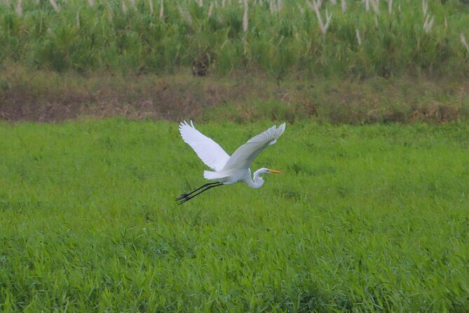 Kayak Fishing on Arenal Lake - An in-depth look at Kayak Fishing on Arenal Lake