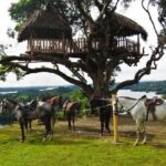 Kayak & Horseback Riding in the Jungle - FAQs