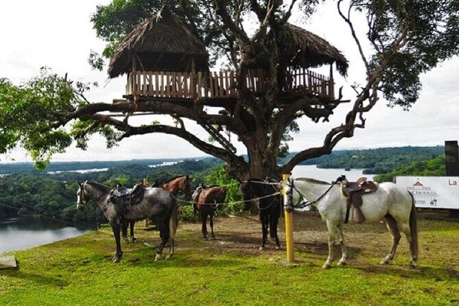 Kayak & Horseback Riding in the Jungle - FAQs