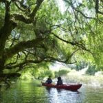 Kayak Laguna La Poza 1/2 day - Detailed Review of the Kayak Laguna La Poza Tour
