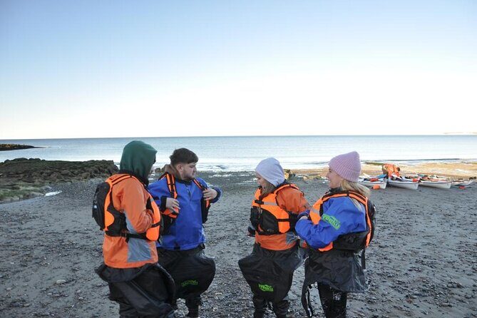 Kayak Paddling Experience with Sea Lions in Puerto Madryn - A Deep Dive Into the Kayak Paddling Experience