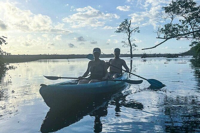 Kayak Through the Mangroves - The Sum Up: Why This Tour Stands Out