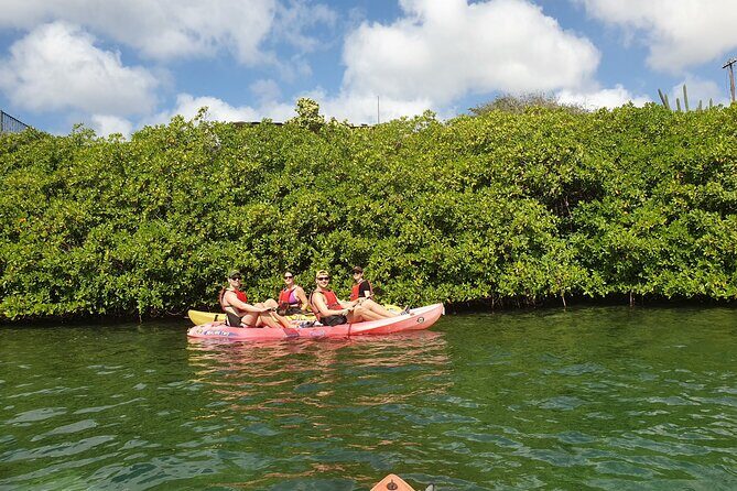 Kayak Tour at Mangel Halto and Spanish Lagoon - Who Will Enjoy This Tour?
