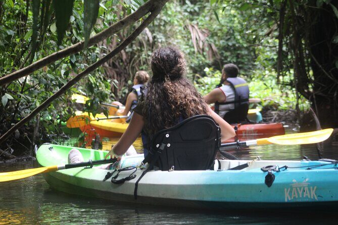 Kayak Tour in Tortuguero Canals with Tourist Guide - Practical Details