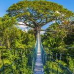 Kayaking and Monkey Island: One Day from Puerto Maldonado - Authentic Encounters and Traveler Feedback