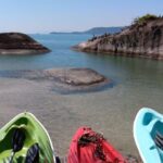 Kayaking Mangroves tour - Why This Tour Is a Great Value