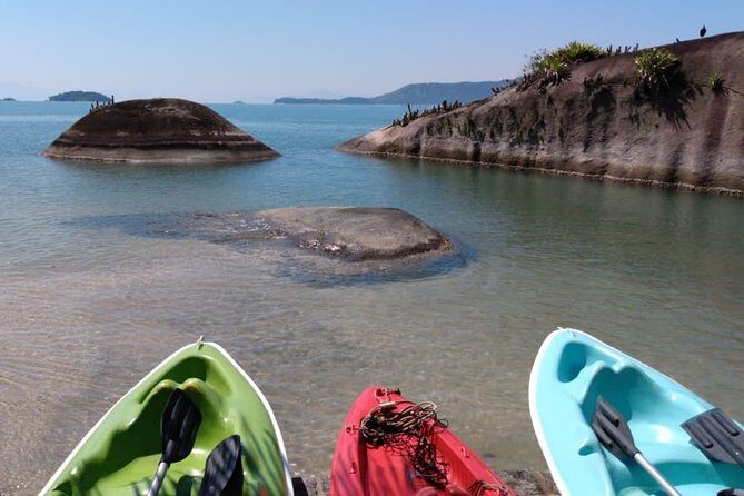 Kayaking Mangroves tour - Why This Tour Is a Great Value