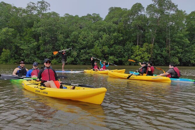 Kayaking Tour in Gandoca Lagoon throug mangrove forest - Frequently Asked Questions