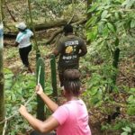 Ken's Panoramic Rainforest Tour - A Deep Dive into Ken’s Panoramic Rainforest Tour