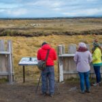 King Penguin Nature Reserve - Tierra del Fuego Island - Practical Tips for Future Travelers