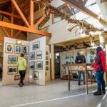 King Penguin & Tierra del Fuego Tour - In-Depth Review of the King Penguin & Tierra del Fuego Tour