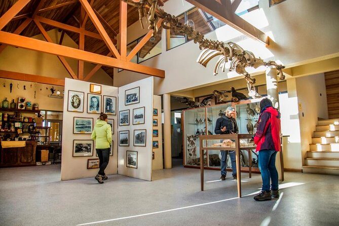 King Penguin & Tierra del Fuego Tour - In-Depth Review of the King Penguin & Tierra del Fuego Tour