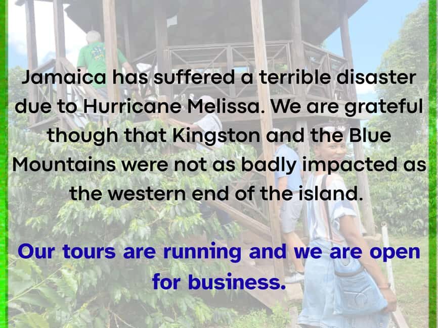 Kingston Blue Mountains Tour with Coffee Tasting - A Coffee Farm Tour: The Heart of the Experience