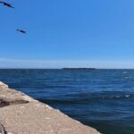 Kingston City Tour - Practical Details and What to Expect