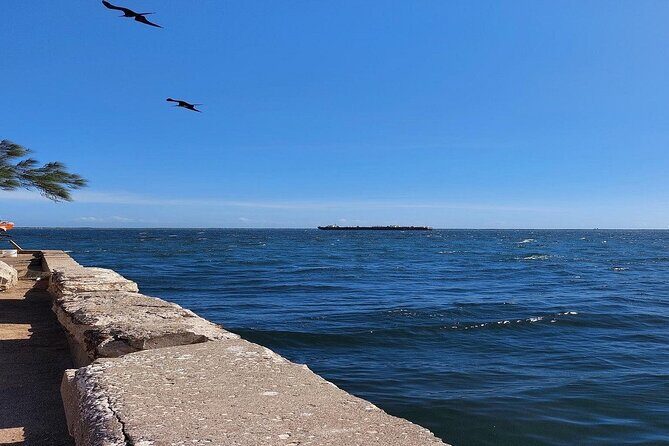 Kingston City Tour - Practical Details and What to Expect