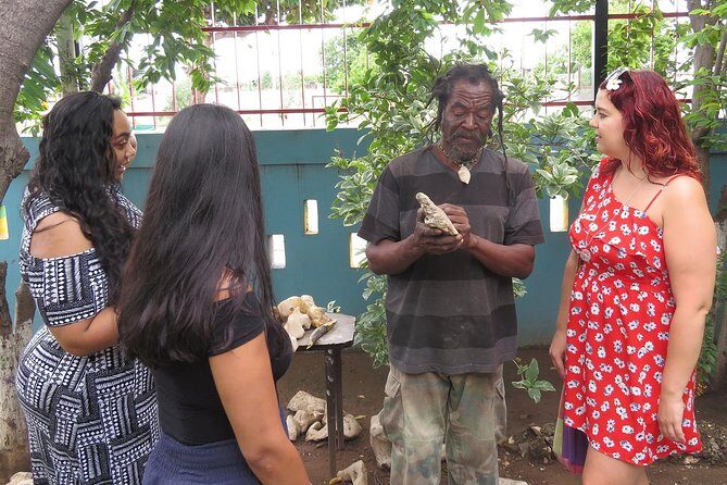 Kingston City Tour (starting in Kingston) - Who Should Book This Tour?