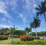 Kingston Cultural Tour Bob Marley Museum & Emancipation Park - The Sum Up