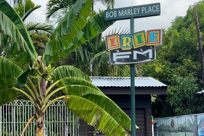 Kingston Culture Tour - Transport, Timing, and Flexibility