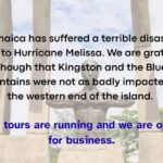 Kingston: Rhythmic Walking Music Tour - Who Will Love This Tour?