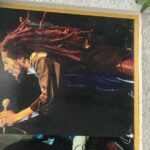 Kingston Tour to Bob Marley Museum and Devon House - FAQs