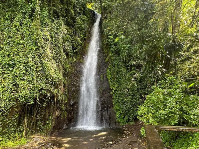 Kingstown: Cascading Dark View Falls and Beach Tour - A Closer Look at the Dark View Falls and Beach Tour